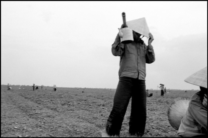 Những người nông dân trên cánh đồng ngô mùa gieo hạt. Ảnh: Larry Towell - Magnumphotos.com