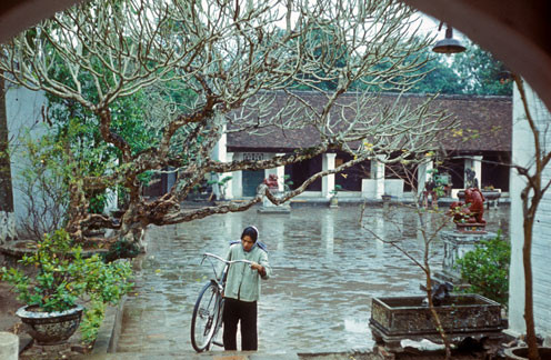 Một góc Văn Miếu.