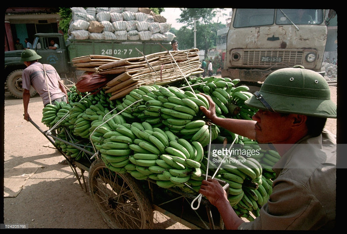Người cửu vạn kéo xe chở chuối sang Trung Quốc tại cửa khẩu ở Lào Cai, 15/8/1993.