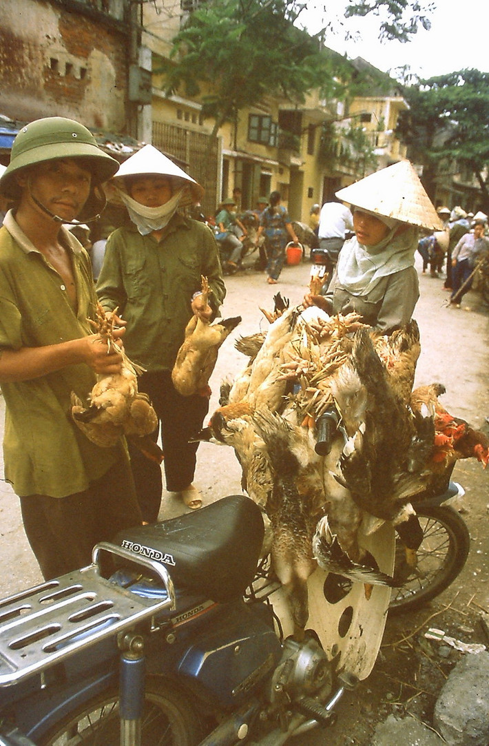 Quầy hàng gà vịt lưu động.