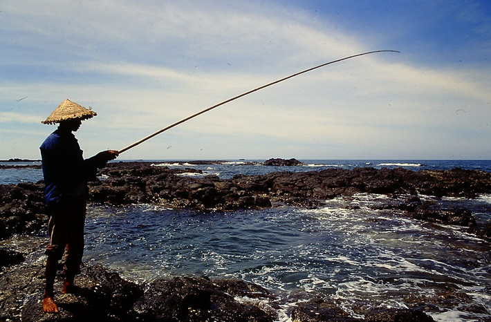 Câu cá trên ghềnh đá.