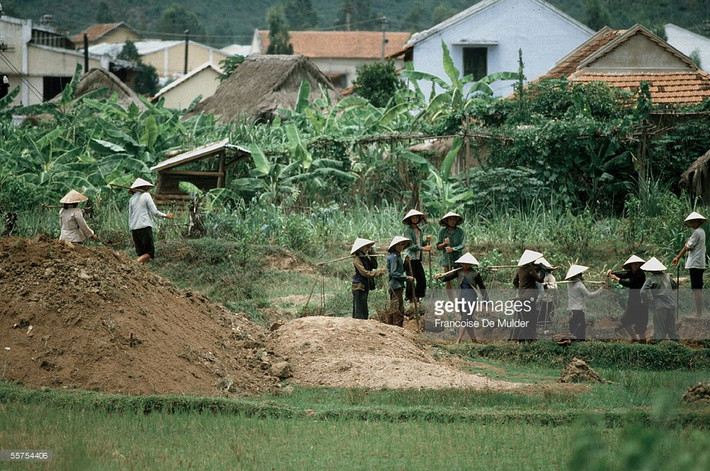 Trên một cánh đồng gần Quy Nhơn, Bình Định.