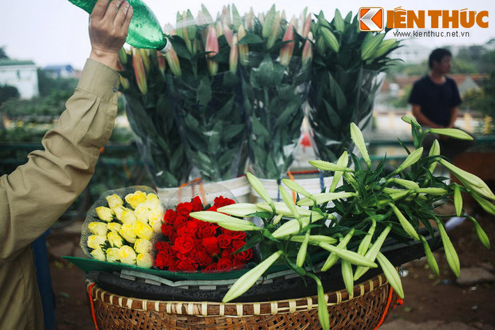 Jack vội ra lệnh cho bọn thủ hạ mang trả lại Lily và chúng phải chỉ cho Lily một nấm mồ, coi như đó là mộ của hắn. Dọc đường, đám thuộc hạ bí mật đem bán chiếc hộp cùng trái tim để lấy tiền tiêu xài nhưng vẫn tìm một nấm mồ và chỉ cho Lily. Lily tin đó là nơi Jack yên nghỉ. Không nỡ để người yêu nằm đó thiếu trái tim, Lily quyết định lấy trái tim của chính mình vùi xuống nấm mồ.