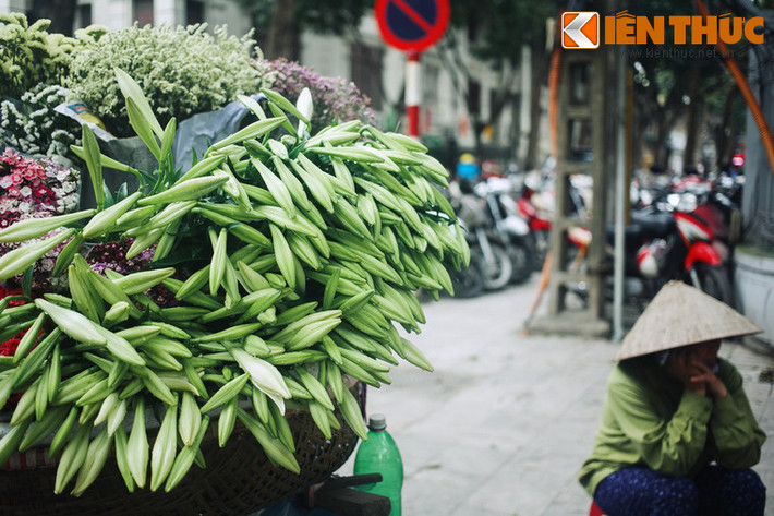 Một hộm, Jack đuổi thủ lĩnh toán cướp, người đã cưu mang mình nhiều năm trời đi để nắm quyền chỉ huy. Gã thủ lĩnh rất uất ức nên quyết định tìm về quê Jack để nói cho người dân biết về con ngươi vô ơn ấy. Tại nơi đây, người đầu tiên gã găp là một người phụ nữ trung niên với nét mặt u sầu.