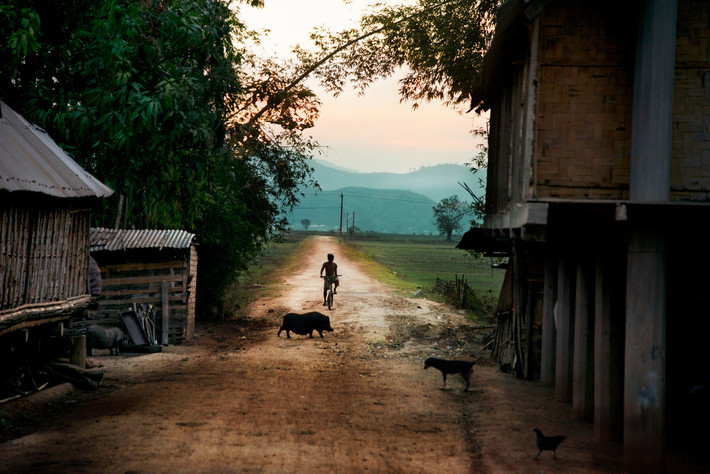 Lợn, gà, chó chạy rông trên một con đường ở Đăk Lăk năm 2013. Ảnh: Steve McCurry/ Magnum.