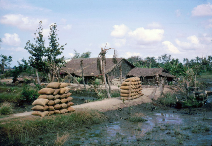 Những bao gạo chất đầy lối vào nhà người nông dân mùa gặt.
