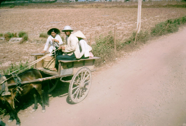 Một gia đình trên xe ngựa.
