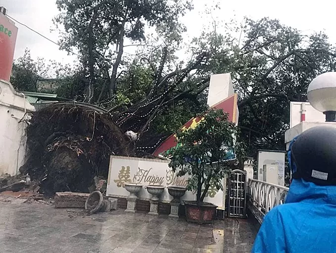 Trên phố Phạm Ngọc Thạnh (quận Đống Đa), một gốc đa cổ thụ đường kính thân gần 1m, cao 30 m trồng gần nhà số 10 đã bị bật gốc, đổ chắn ngang đường, đè vào hai cửa hàng quần áo và khiến các phương tiện lưu thông qua đây gặp nhiều khó khăn. Xe cứu hoả và cứu thương đã có mặt tại hiện trường, may mắn không có ai bị thương.