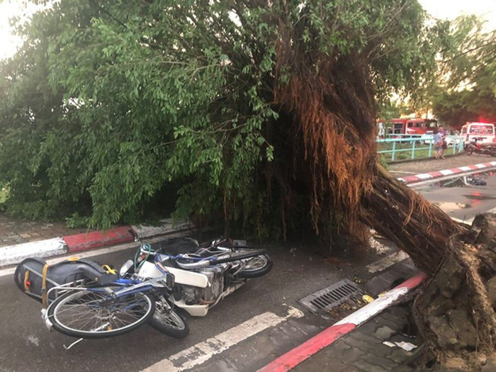 Đúng vào thời điểm xảy ra mưa giông lớn, một nam thanh niên đứng trú mưa dưới gốc cây đã bị cành cây đổ đè vào người dẫn đến tử vong.