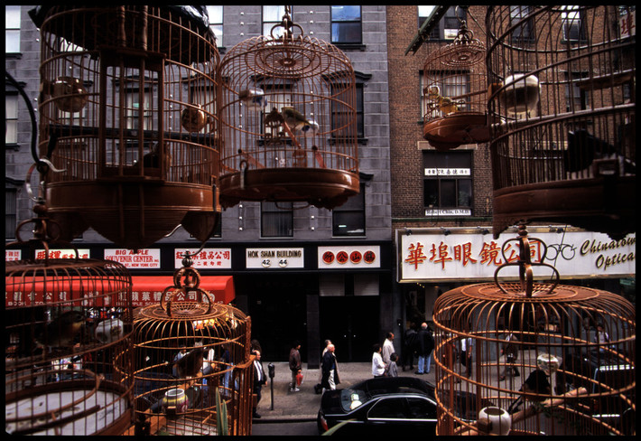 Những chiếc lồng chim treo bên ngoài cửa sổ một căn hộ ở phố Mott, khu Chinatown ở New York năm 1996. Ảnh: Chien-Chi Chang/ Magnum Photos.