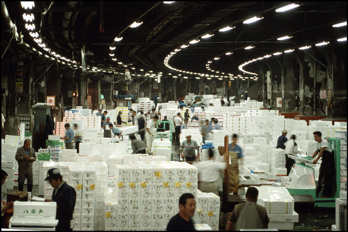 Bên trong chợ cá nổi tiếng Tsukiji. Ảnh: Harry Gruyaert/ Magnum Photos.