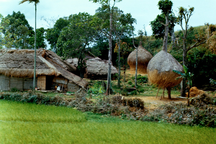 Nhà tranh bên ruộng lúa. Ảnh: Arty611.smugmug.com.