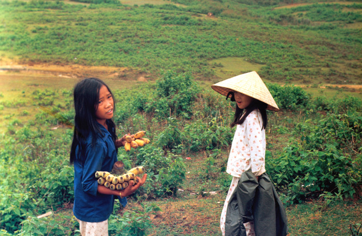 Các cô bé bán chuối. Ảnh: Arty611.smugmug.com.