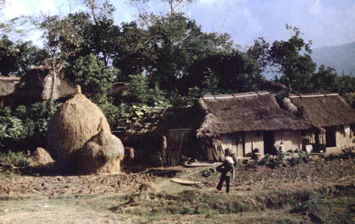 Nhà tranh bên đường tới Đức Phổ. Ảnh: Arty611.smugmug.com.