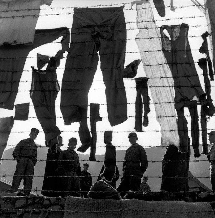 Quần áo được phơi trên hàng rào của trại cải huấn. Ảnh: Werner Bischof.