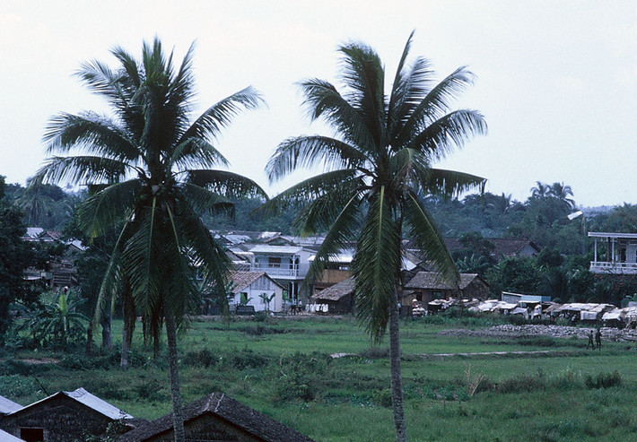 Khung cảnh vùng ngoại ô Cần Thơ. Ảnh: D. Hoag.
