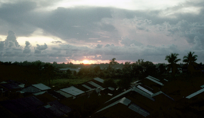 Bình minh ở vùng thông quê. Ảnh: D. Hoag.