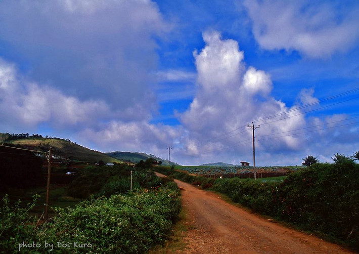 Một con đường ngoại ô Đà Lạt, 1996.
