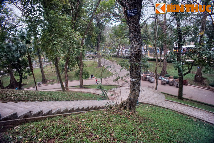 Núi Nùng còn có tên gọi là núi Sưa, do xưa kia nơi đây là một gò đất có những cây sưa rất to.