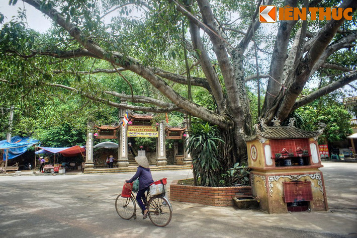 Quần thể kiến trúc của chùa Tây Phương bắt đầu từ chân núi Câu Lâu, với công trình đầu tiên là Tam quan hạ.