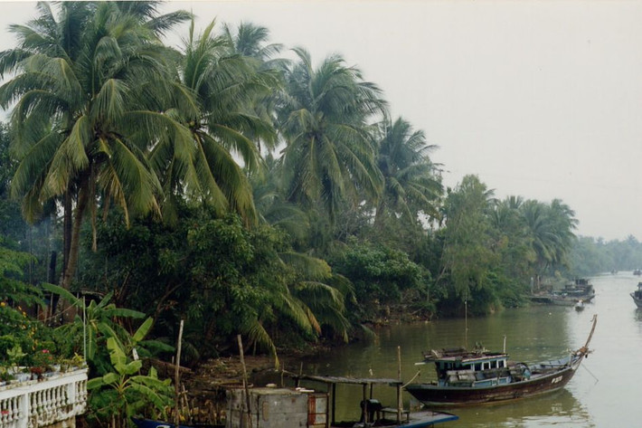 Khung cảnh sông nước Nam Bộ.