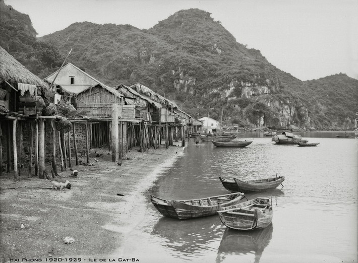 Làng chài trên đảo Cát Bà thập niên 1920.