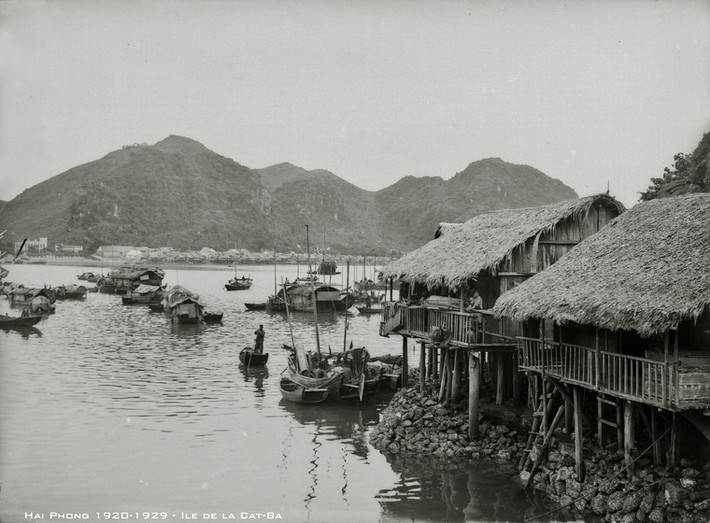 Làng chài và những thuyền chài ở Cát Bà.