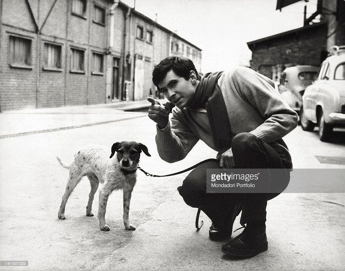 Diễn viên Mỹ Anthony Perkins và chú chó cưng của mình trong một buổi đi dạo, 1962. Ảnh: Getty.