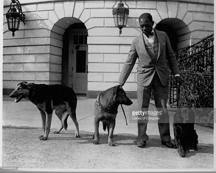 Nhân viên nhà trắng Robert R. Robinson và ba chú chó của Tổng thống Mỹ Hoover, năm 1929. Ảnh: Getty.