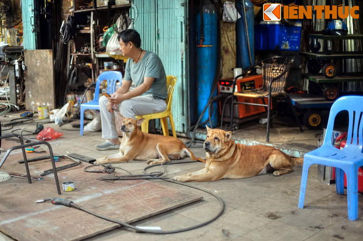 Làng Hòe Thị vốn có nghề rèn từ lâu đời. Họ ra Thăng Long quây quần ở phố này, rèn nông cụ và các hàng dân dụng. Vì bừa là thứ hàng cồng kềnh, phải bày ra vỉa hè la liệt, do đó mà thành tên phố Hàng Bừa.