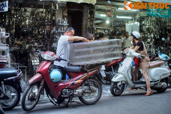 Từ sáng sớm đến chiều muộn, cả dãy phố luôn nhộp nhịp cảnh người mua kẻ bán.