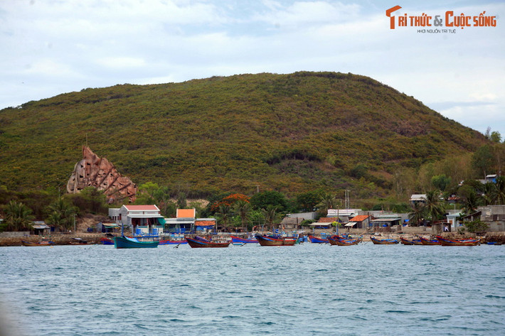 Nằm ở phía Nam vịnh Nha Trang, đảo Hòn Miễu còn được gọi là đảo Sỏi, đảo Bồng Nguyên, là một hòn đảo gần bờ của thành phố Nha Trang. Hành trình từ thành phố ra đảo bằng thuyền máy mất khoảng 20 phút.
