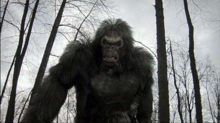 Big Foot (chân to) là tên được đặt cho một loại sinh vật nửa người nửa khỉ mà một số người tin rằng sống ở các cánh rừng ở mạn Tây Bắc Thái Bình Dương của khu vực Bắc Mỹ. Bigfoot được mô tả trong báo cáo như một sinh vật cao khoảng 2-3m, trọng lượng hơn 230 kg, và được bao phủ trong lớp lông màu nâu sẫm hoặc đen. Một số nhân chứng đã mô tả nó có đôi mắt to, trán thấp, mùi khó chịu.