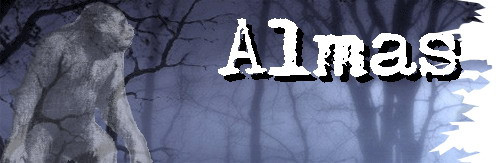 Almas hoặc Alma (tiếng Mông Cổ nghĩa là dã nhân), là một sinh vật nửa người nửa khỉ được nhiều nhân chứng nhìn thấy ở dãy núi Caucasus và Pamir của Trung Á, và dãy núi Altai của miền nam Mông Cổ. Các nhà khoa học cho rằng sinh vật này chỉ là hư cấu vì điều kiện tự nhiên của các vùng núi này không thể cung cấp đủ thực phẩm để nuôi sống chúng.
