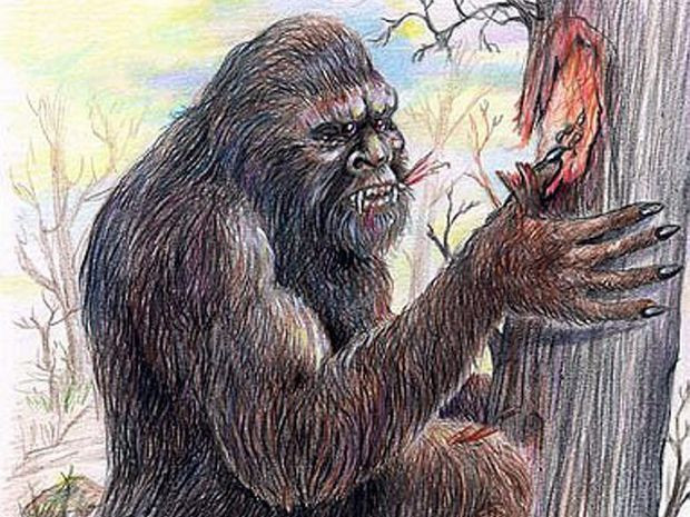 Dã nhân Yowie là một sinh vật bí ẩn được cho là đã xuất hiện tại Australia. Yowie được mô tả là có hình người nhưng hình thể to cao hơn rất nhiều, nó cao lớn hơn (từ 2,1 – 2,4 mét) và nhiều lông màu sẫm. Nó có mắt đỏ và toàn thân phát ra mùi hôi thối khó chịu.