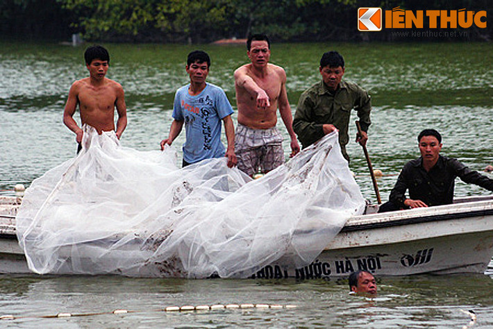 Tấm lưới cuối cùng để chụp lấy cụ Rùa đã sẵn sàng.