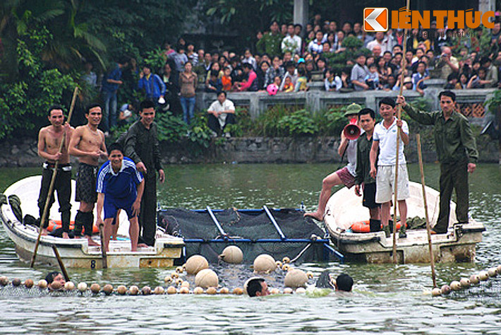 Sau gần nửa tiếng vật lộn, rùa hồ Gươm đã được đưa vào lồng sắt an toàn.