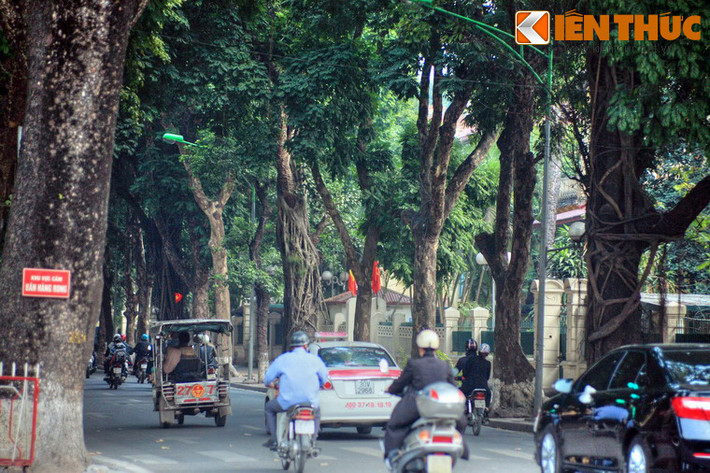 1. Nằm ở trung tâm quận Ba Đình, Hà Nội, phố Phan Đình Phùng được mệnh danh là con phố cổ thụ "xanh" nhất thủ đô. Đây chính là con phố có vỉa hè rộng nhất nhì Hà Nội với hàng sấu cổ thụ có tuổi đời gần một thế kỷ.
