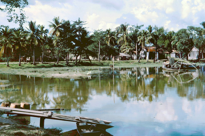 Khung cảnh thơ mộng của miền quê với những hàng dừa soi bóng xuống sông nước.