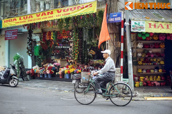 Phố Hàng Rươi là con phố dài 108 m, kéo dài từ phố Hàng Lược đến phố Hàng Mã ở phía Bắc khu phố cổ Hà Nội. Đây nguyên là đất thôn Vĩnh Trù và thôn An Phú, tổng Hậu Túc (sau đổi là tổng Đồng Xuân), huyện Thọ Xương cũ.