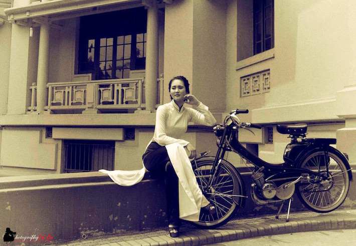 Năm 1981, Motobecane chính thức phá sản, kéo theo sự "khai tử" những chiếc Mobylette. Tuy nhiên, "cái chết" của Mobylette đã bắt đầu xảy ra từ khoảng 2 chục năm trước đó, trước sự xuất hiện của những chiếc xe underbone giá rẻ dạng Honda Cub tới từ Nhật.