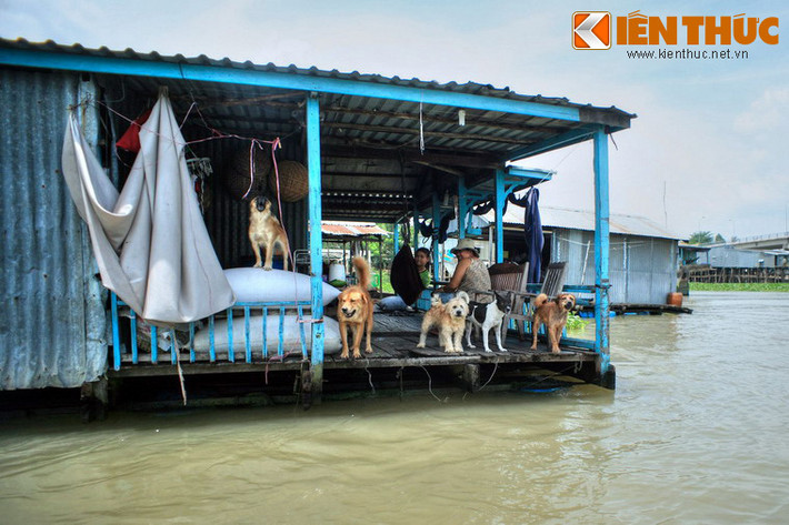 Người dân ở nhà nổi cũng sinh hoạt như những người ở trên bờ với các hoạt động nấu nướng, giặt giũ, nghỉ ngơi, nuôi thú cưng, giải trí bằng truyền hình, internet…