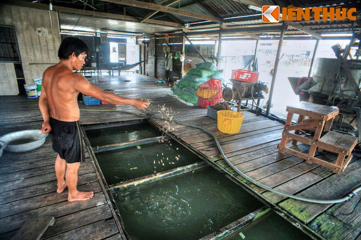 Với sự hiếu khách của cư dân làng nổi, du khách có thể vào trong nhà tham quan, khám phá các hoạt động liên quan đến việc nuôi cá, thậm chí trực cho cá ăn. Đây là trải nghiệm độc đáo khó có được ở các địa phương khác ở Việt Nam.