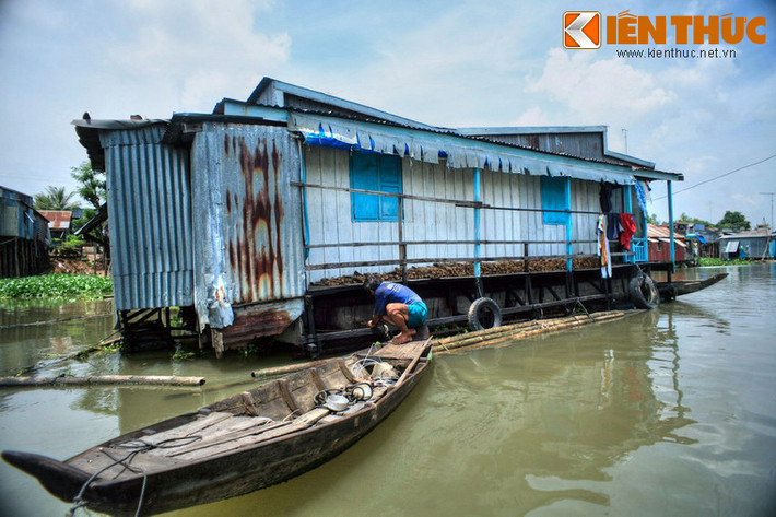 Dạo một vòng quanh làng nổi, du khách dễ dàng ghi lại nhiều khung hình đẹp về cuộc sống miền sông nước như cảnh những người ngư dân miệt mài chăm lo cho bè cá của mình…
