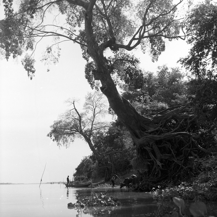 Bờ sông Mekong ở Luang Prabang.