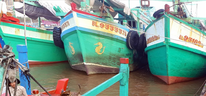 Tổng thiệt hại ước tính do bão số 1 gây ra là 27,87 tỷ đồng (Trà Vinh 1,51 tỷ đồng, Kiên Giang 2,74 tỷ đồng, Bạc Liêu 16,18 tỷ đồng, Cà Mau 1,03 tỷ đồng, Sóc Trăng 6,41 tỷ đồng).