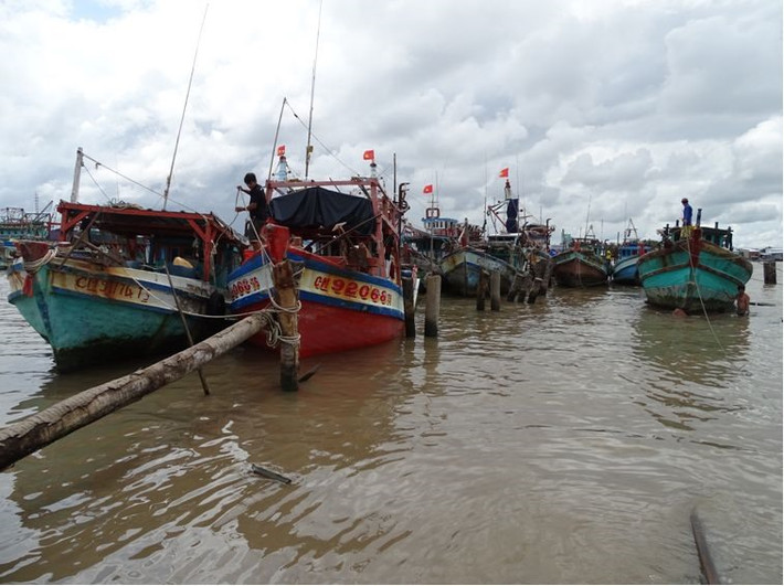 Bão số 1 - Pabuk: Là cơn bão đầu tiên trong năm 2019. Khi vào Việt Nam, ngoài thiệt hại về tài sản thì bão làm mất tích 2 nhân mạng.