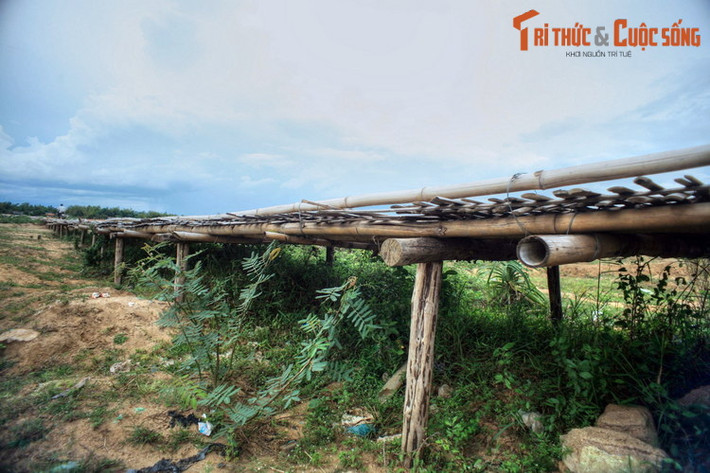 Phần chân cầu là những thanh gỗ cắm sâu xuống lòng sông và nền đất để làm bệ đỡ gánh trọng tải thân cầu.