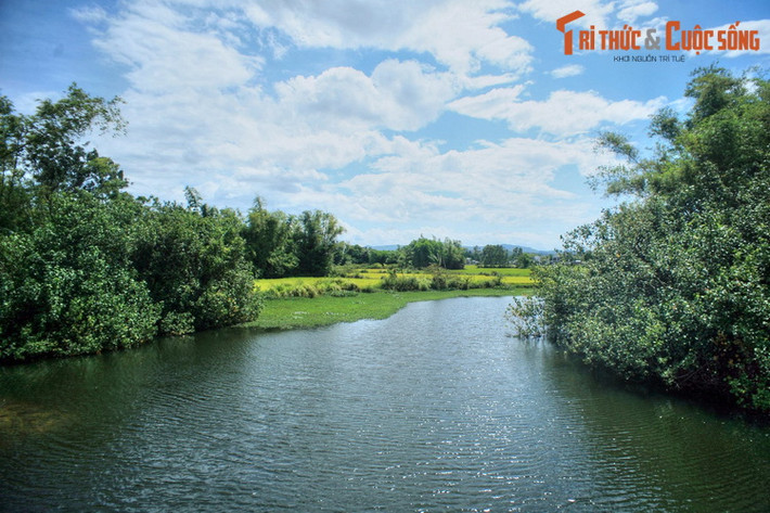 Nét thơ mộng của sông Hà Thanh, dòng sông chính chảy qua thành phố Quy Nhơn.