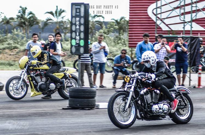 Các dòng xe khác của Harley-Davidson như Sportster, Softail, Forty-Eight... cũng có mặt và được độ theo nhiều cấp độ khác nhau, từ "kiểng" tới chuyên nghiệp.